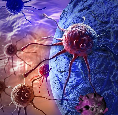 Photobiomodulation Light Therapy Cancer