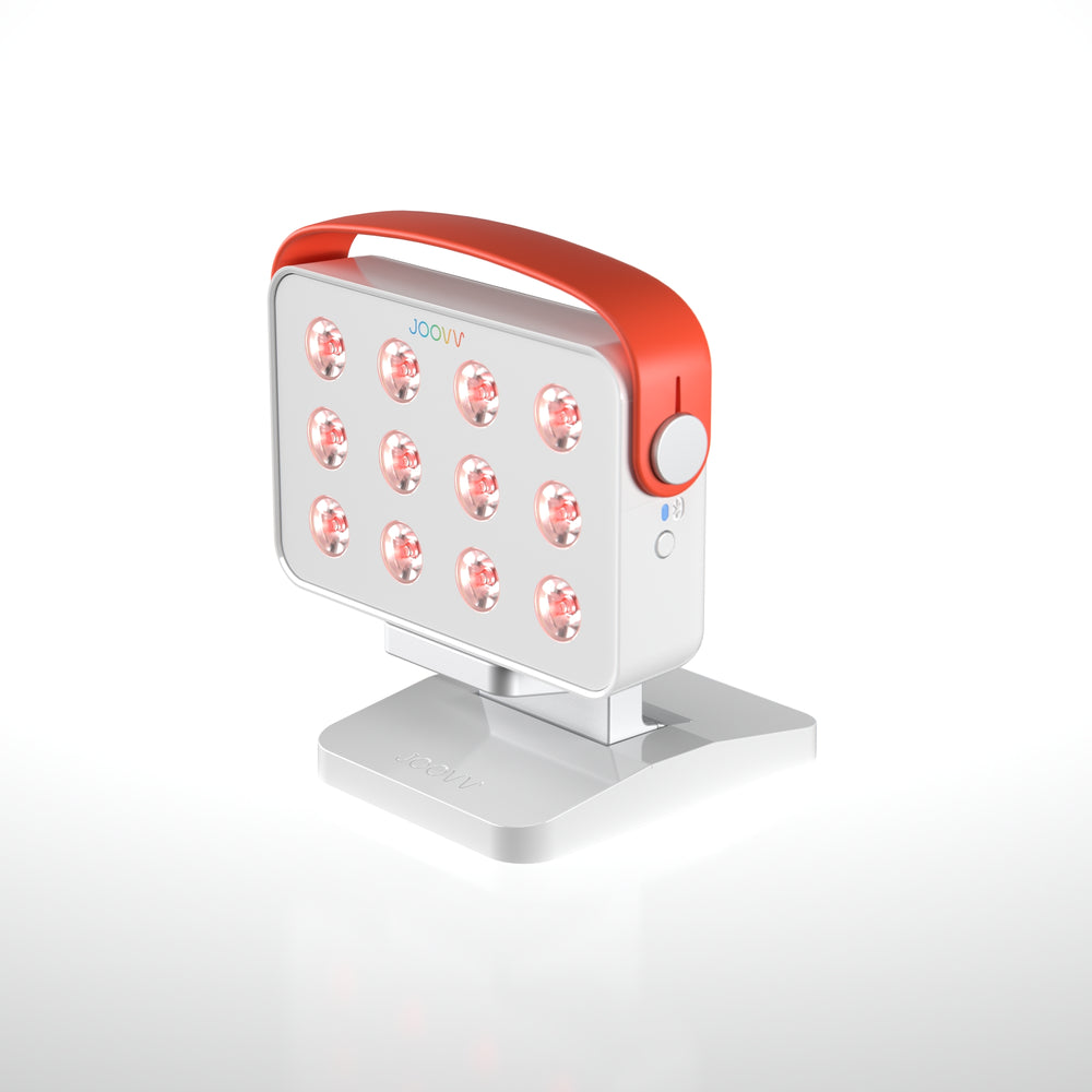 JWV Handheld Light